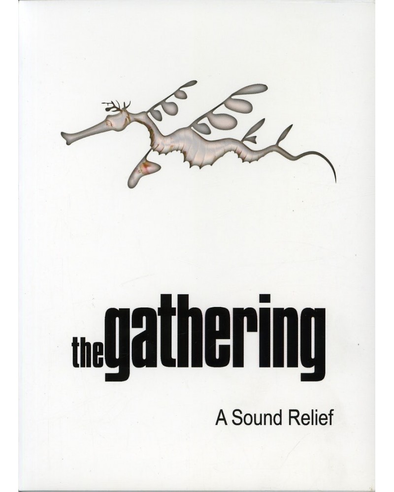 Gathering SOUND RELIEF DVD $8.55 Videos