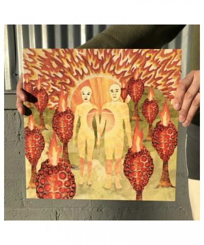 of Montreal The Sunlandic Twins LP Jacket $4.78 Vinyl