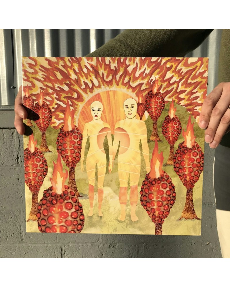 of Montreal The Sunlandic Twins LP Jacket $4.78 Vinyl