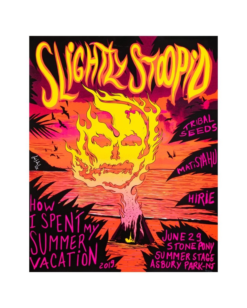 Slightly Stoopid Asbury Park NJ 6.29.19 Show Poster $10.50 Decor