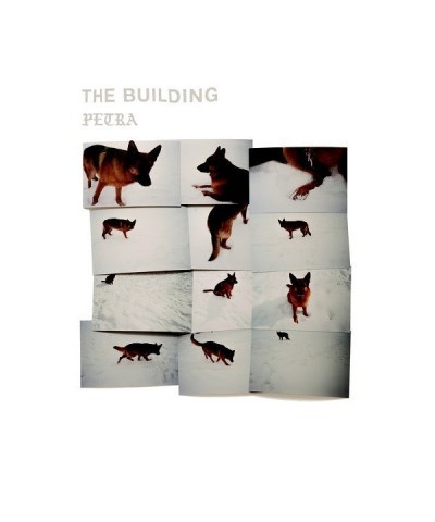 Building Petra Vinyl Record $10.35 Vinyl