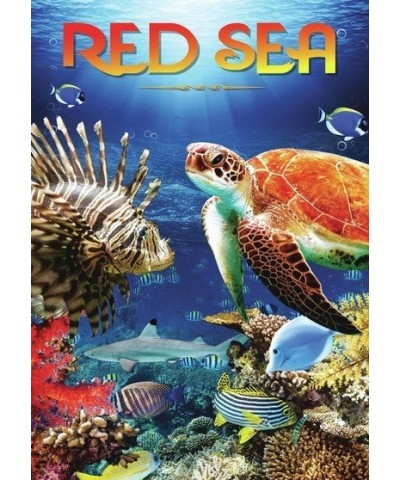 Red Sea DVD $6.48 Videos